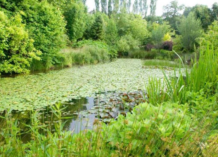 Arboretum de la Tuillière, Ayen, France, France